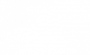 LOGO-IMMO-DIAG-COPRO-FOOTER